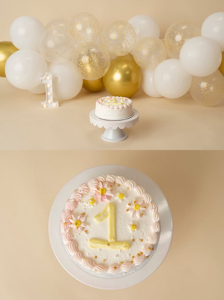 one year cake smash.jpg